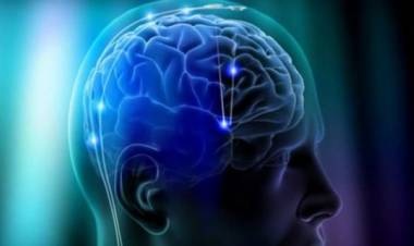 Cosa succede al nostro cervello prima della morte?