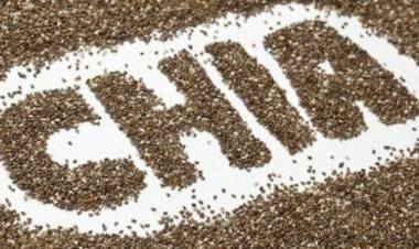 Tutte le proprietà benefiche dei semi di chia