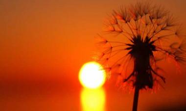 METEO: Caldo al centro-nord e ancora temporali al sud