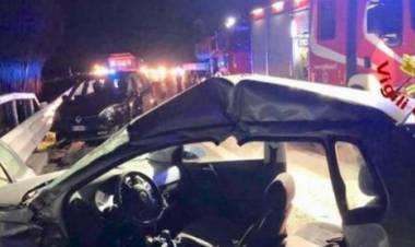 Cinghiali in autostrada, grave incidente sull’A1: un morto e 10 feriti